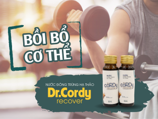 Tác dụng Bồi bổ cơ thể của Dr. Cordy Recover