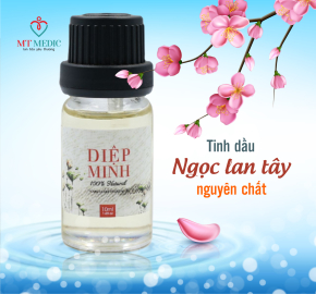 TINH DẦU NGỌC LAN TÂY NGUYÊN CHẤT DIỆP MINH